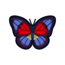 Agrias butterfly