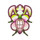Orchid mantis