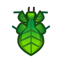 Walking leaf